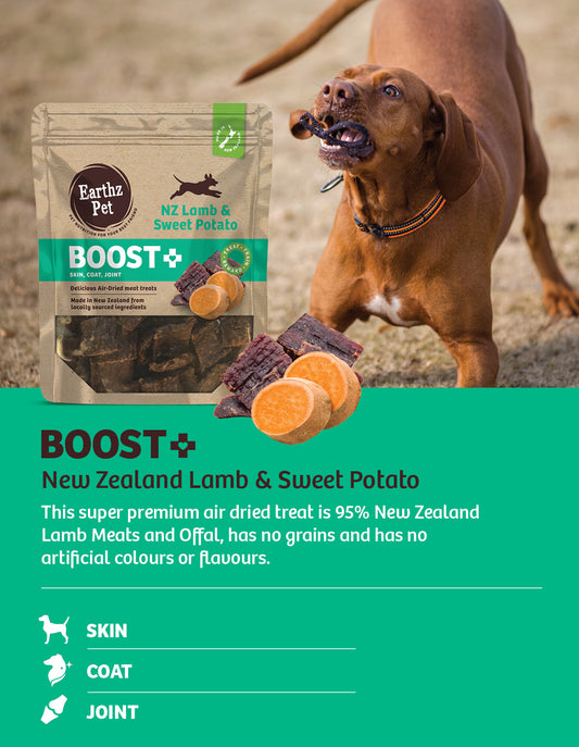 Boost+ New Zealand Lamb and Sweet Potato Soft Jerky