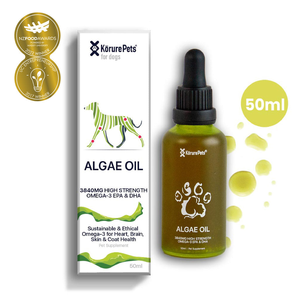 Algae Oil for Dogs