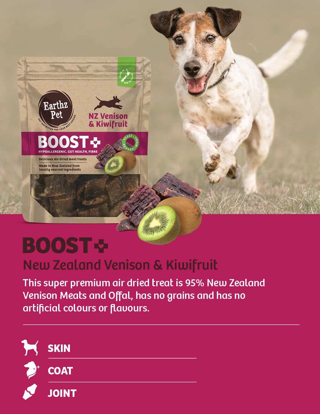Boost+ New Zealand Venison and Kiwifruit Soft Jerky
