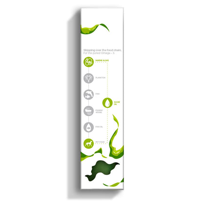 Algae Oil for Dogs