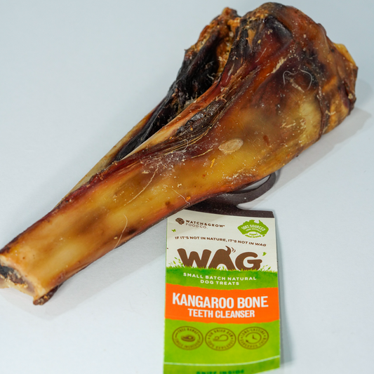 Kangaroo Teeth Cleanser Bone