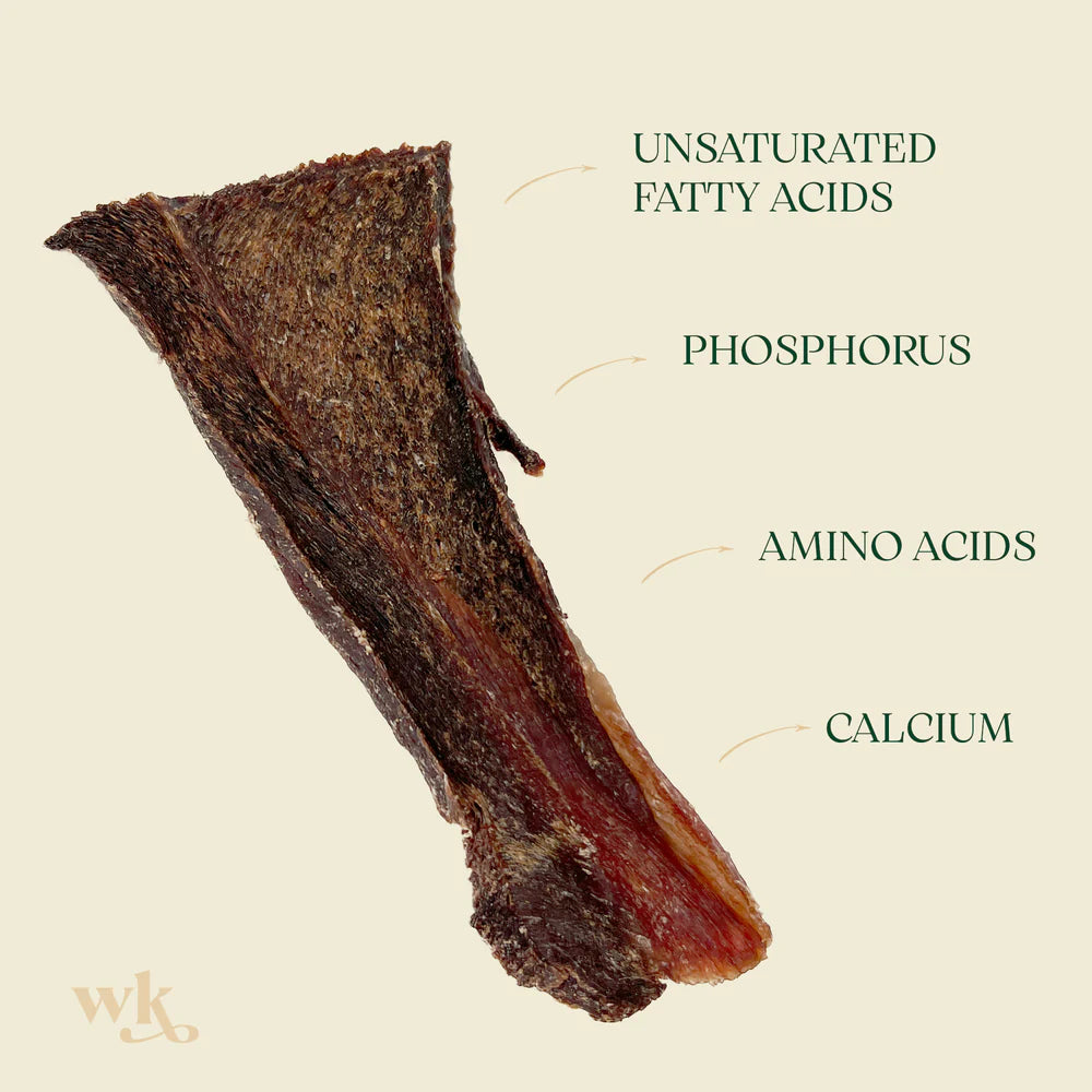 Western Desert Camel Jerky