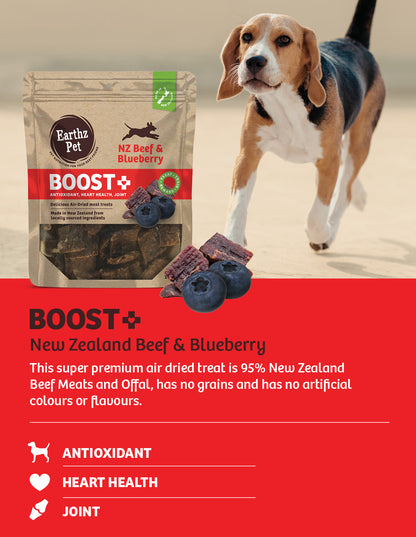 Boost+ New Zealand Beef and Blueberry Soft Jerky