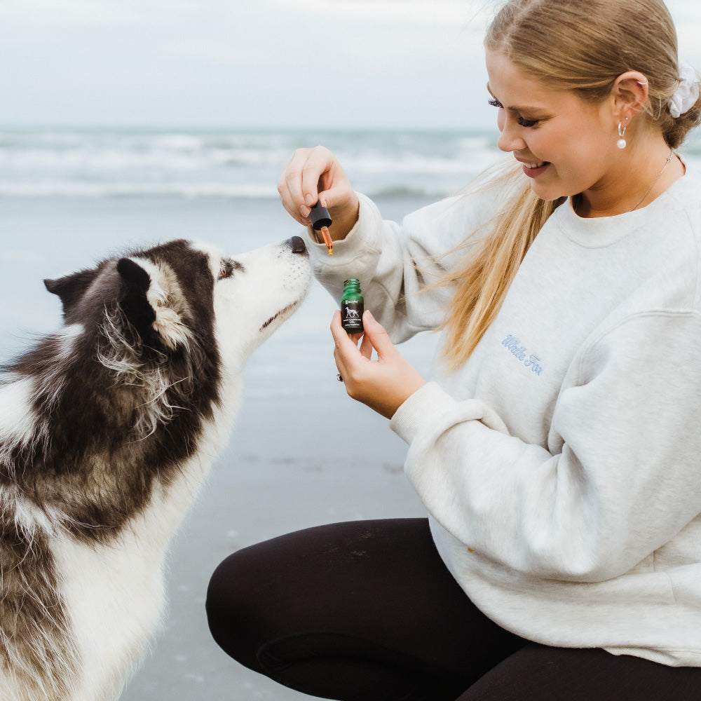 Green-Lipped Mussel Oil for Dogs